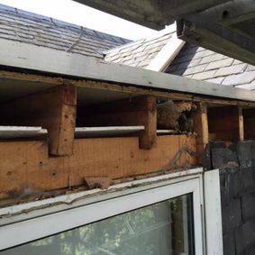 damaged roof